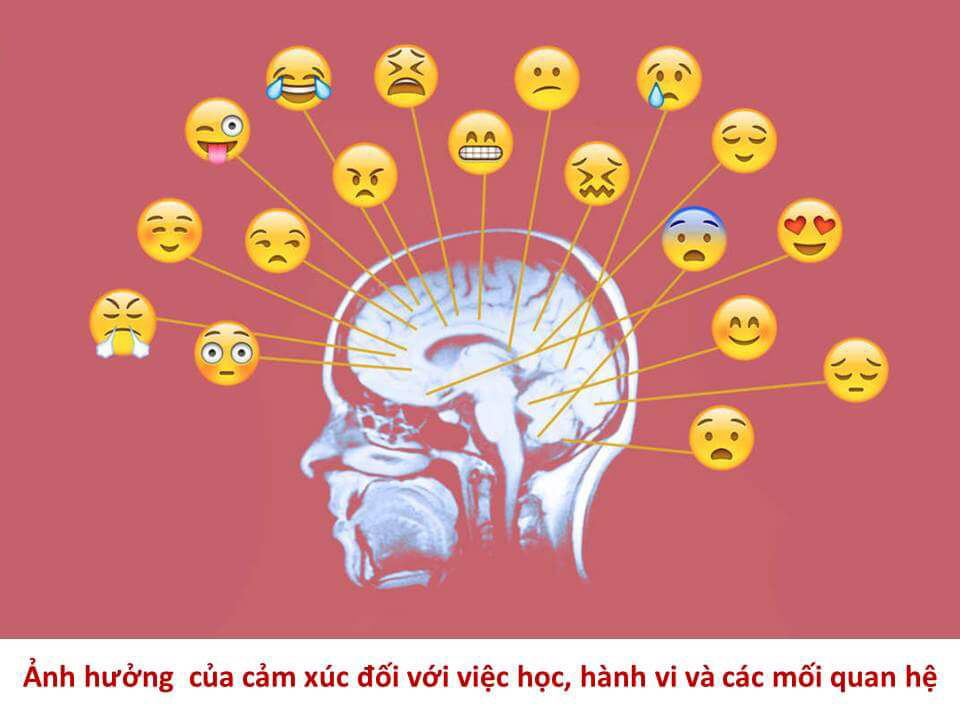 Nhận thức về cảm xúc, kỹ năng mềm cần thiết cho các bạn trẻ