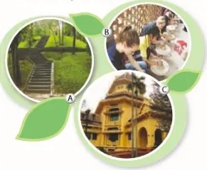 Soạn bài Tiếng Anh lớp 9 Unit 1: Skills 1 (phần 1-5 trang 12 SGK)