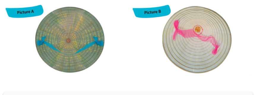 Tiếng Anh lớp 9 Unit 1: Skills 1 task1