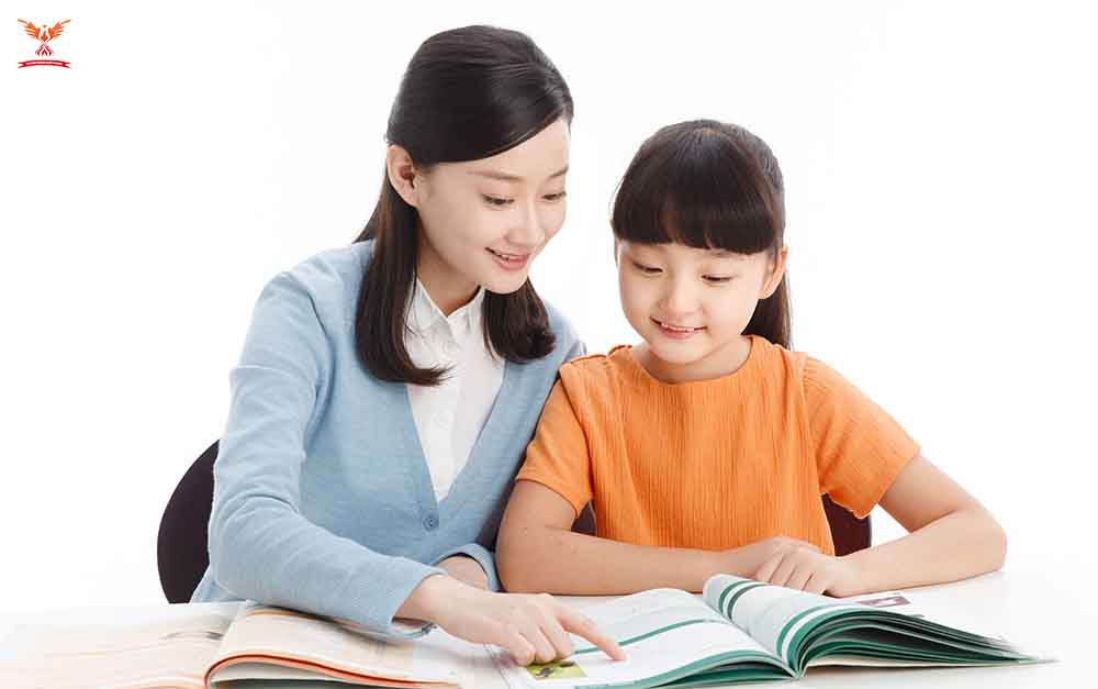 học cùng gia sư tại nhà học cùng gia sư tại nhà