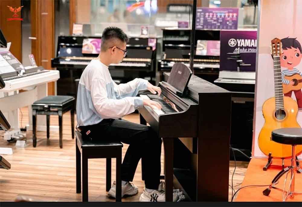 người chơi đàn chuyên nghiệp người chơi đàn chuyên nghiệp