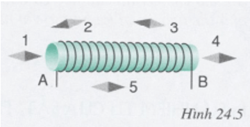 Bài C5 từ trường Bài C5 từ trường