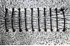 Từ phổ của ống dây có dòng điện chạy qua Từ phổ của ống dây có dòng điện chạy qua