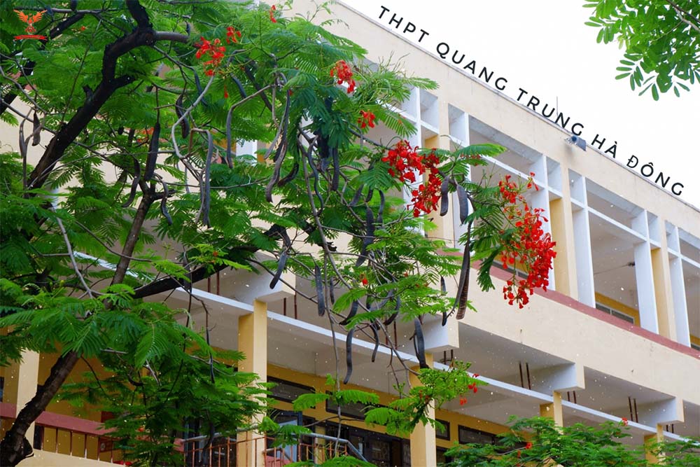 trường THPT Quang Trung - Hà Đông