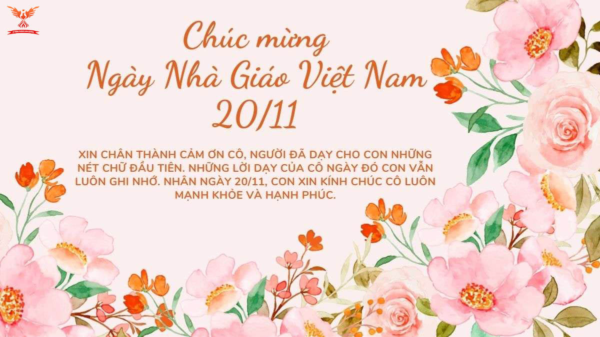 200+ Stt hay tri ân thầy cô ngắn gọn ý nghĩa nhất lưu giữ ký ức