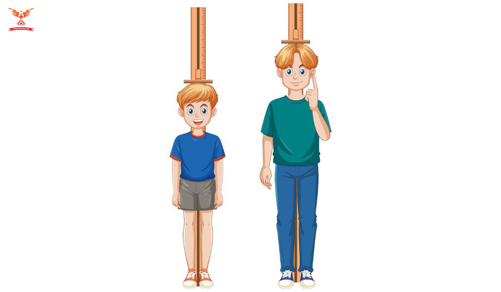 Những thay đổi trong tuổi dậy thì của con trai Những thay đổi trong tuổi dậy thì của con trai