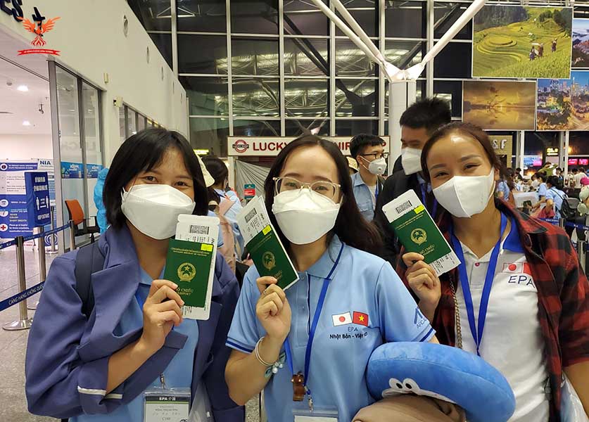 [Tư vấn] Học hết cấp 2 có đi được xuất khẩu lao động Nhật Bản không?