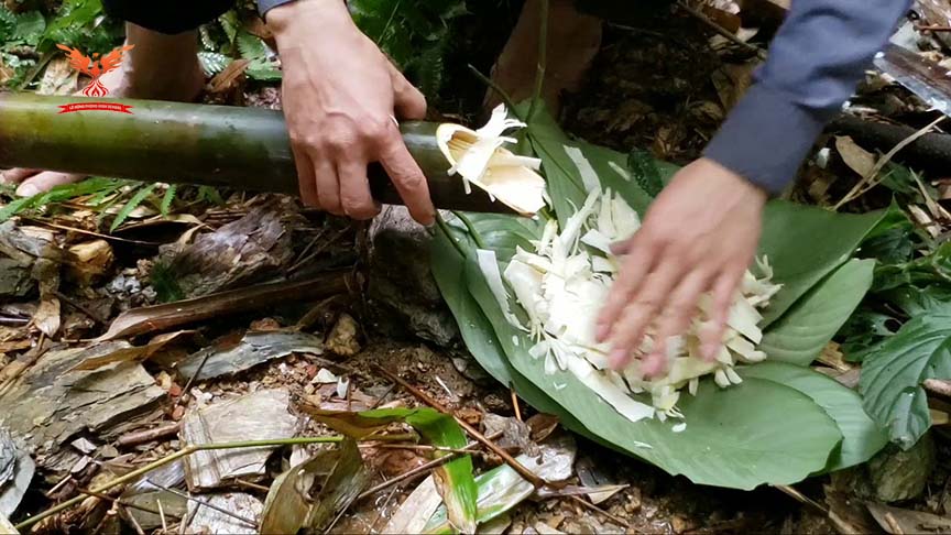 Kỹ năng tìm kiếm thức ăn trong rừng
