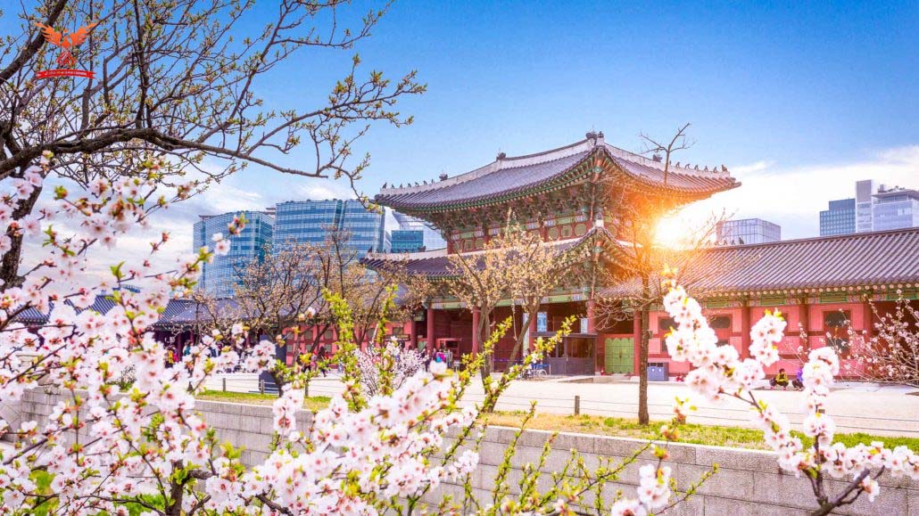 Mở rộng tầm nhìn, hiểu biết về thế giới khi lựa chọn du học