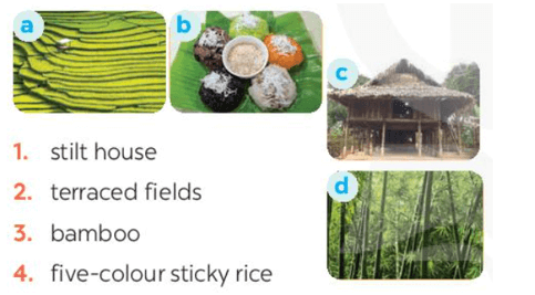 Soạn bài Tiếng Anh 8 Unit 4 Getting started