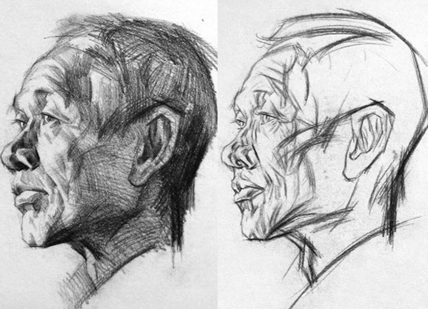 Khối H gồm những môn gì Cách học và luyện thi khối H hiệu quả